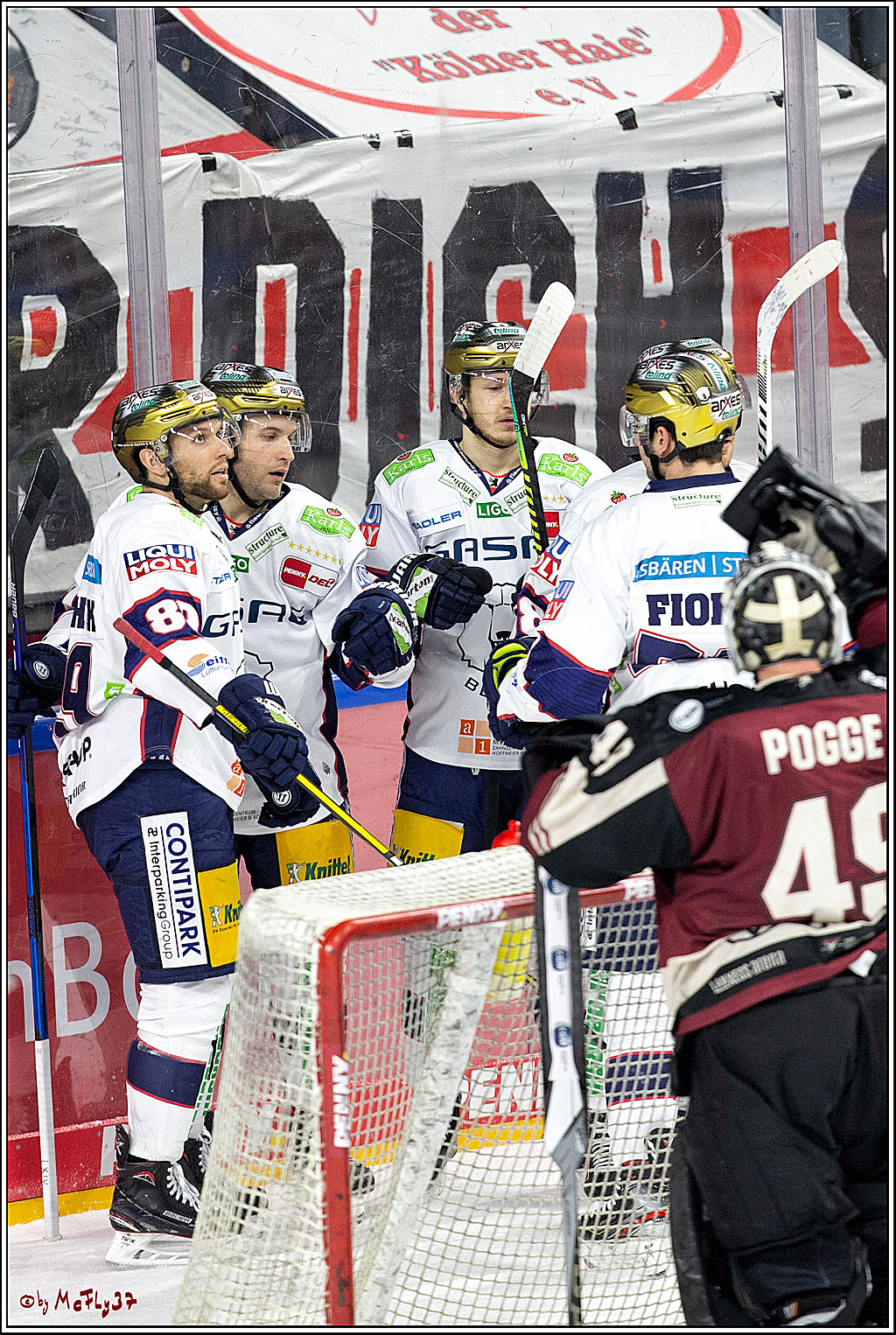 PENNY DEL;  Koelner Haie - Eisbaeren Berlin; Koeln, 19.02.2021